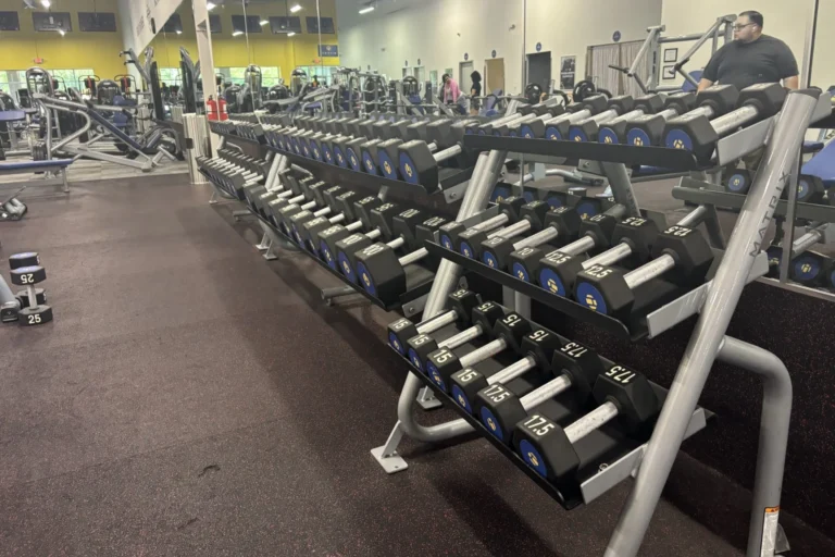 Weight racks with hex dumbbells at a gym.