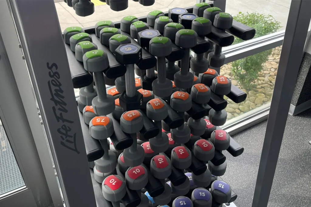 Vertically-placed small dumbbells on a weight rack.