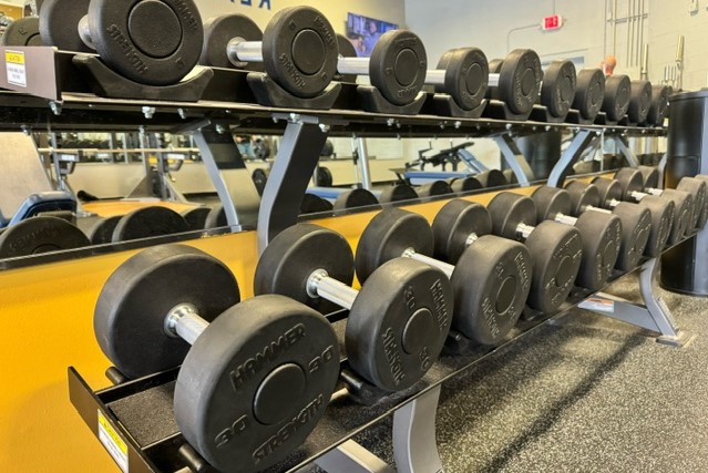 Dumbbells on the weight rack.