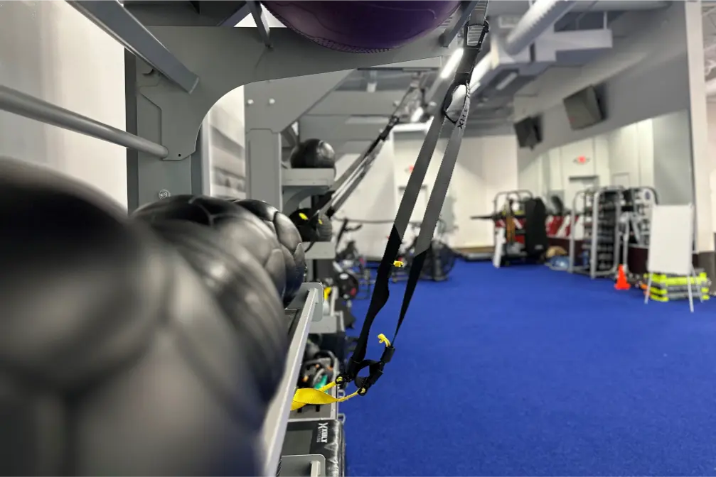 Medicine balls on a rack up close. In the background, there are dumbbell racks and a rowing machine.